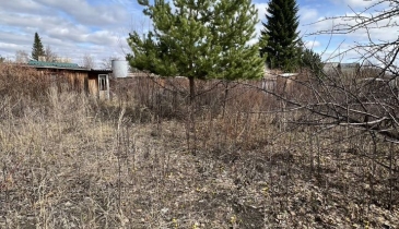 г. Омск,  дп. сдт Радуга-2 (ОАО)