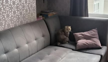 г. Омск,  ул. Орджоникидзе, 268 к1