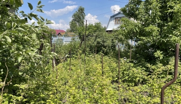 г. Омск,  дп. сдт Искра (ЛАО)