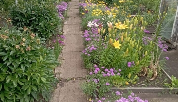 г. Омск,  дп. сдт Весна (САО)