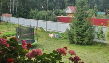 с/п. Пушкинское, с/п. Пушкинское, ул. Садовая