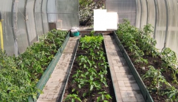 г. Омск,  ул. Тупиковая