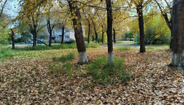 г. Омск,  ул. 50-летия ВЛКСМ, 10