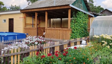 г. Омск,  ул. Долгирева, 107