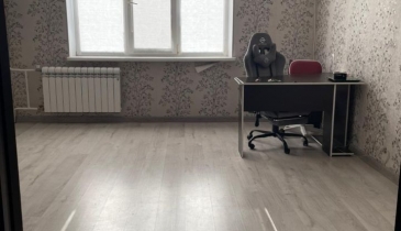 г. Омск,  ул. Кирова, 20