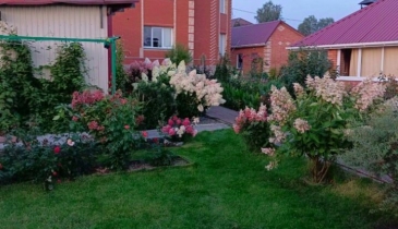 п. Иртышский, п. Иртышский, ул. Никифорова