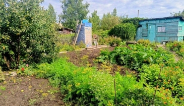 г. Омск,  дп. сдт Сибирский садовод (ЛАО)