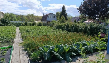 г. Омск,  дп. сдт Тепличный-2 (ЛАО)