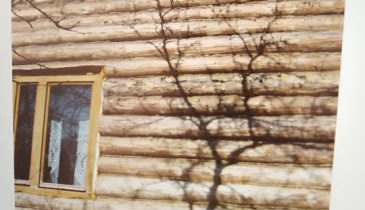 г. Омск,  дп. сдт Заречное (КАО)