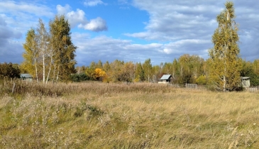 дп. Чернолучинский, дп. Чернолучинский, 