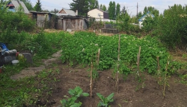 г. Омск,  дп. сдт Нефтяник (САО)