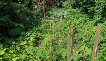 г. Омск,  ул. 8-я Северная