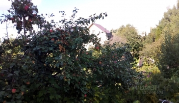 г. Омск,  дп. сдт Кировец-2 (КАО)