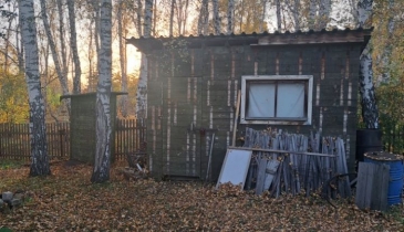 г. Омск,  п. Светлый