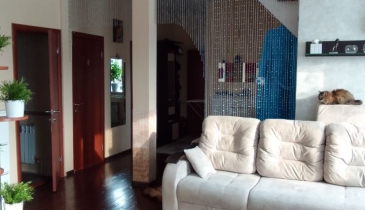 г. Омск,  ул. Ореховая, 18