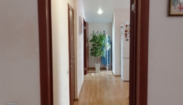 г. Омск,  ул. Ореховая, 18