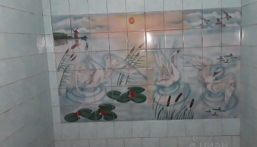 г. Омск,  ул. 5-я Линия, 248