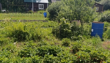 г. Омск,  дп. сдт Механизатор-2 (ОАО)