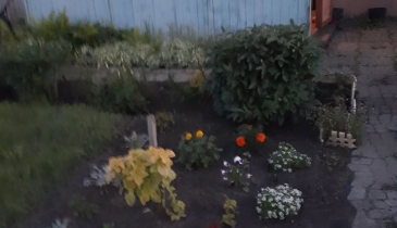 г. Омск,  дп. сдт Фиалка (ОАО)