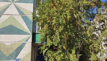 г. Омск,  ул. Крыловская, 25