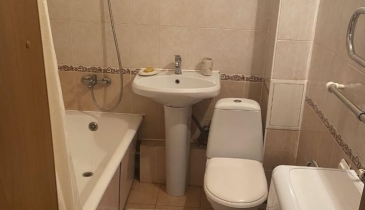 с. Троицкое, Омский р-н, с. Троицкое, ул. Тенистая, 12