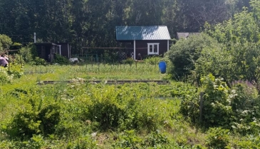 г. Омск,  дп. сдт Механизатор-2 (ОАО)