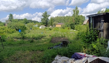 г. Омск,  дп. сдт Механизатор-2 (ОАО)