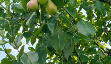 г. Омск,  тер. ГСК Восток-16 (ОАО)