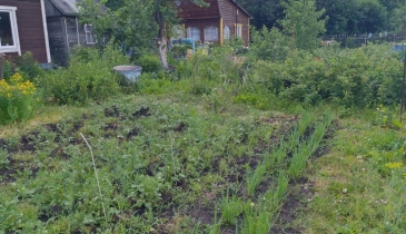 г. Омск,  дп. сдт Механизатор-2 (ОАО)