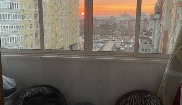 г. Омск,  ул. Учебная, 155