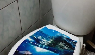 г. Омск,  ул. 5-я Линия, 248