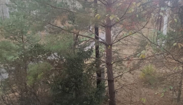 с. Красноярка, Омский р-н, с. Красноярка, ул. Колос санаторий