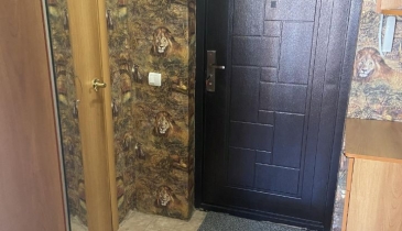 с. Троицкое, Омский р-н, с. Троицкое, ул. Тенистая, 12