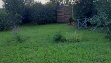 г. Омск,  дп. сдт Фиалка (ОАО)