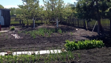 д. Вишневка, Шербакульский р-н, д. Вишневка, ул. Школьная