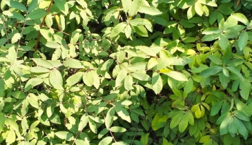 г. Омск,  тер. ГСК Восток-16 (ОАО)