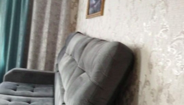 с. Тумановка, с. Тумановка, ул. Центральная, 92