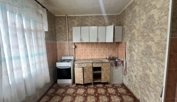 г. Омск,  ул. Жуковского, 31