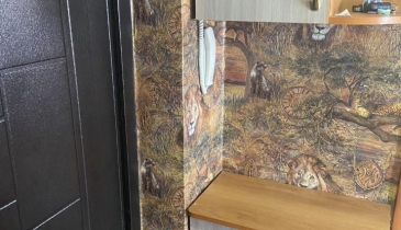 с. Троицкое, Омский р-н, с. Троицкое, ул. Тенистая, 12