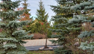 с. Солнцевка, с. Солнцевка, 