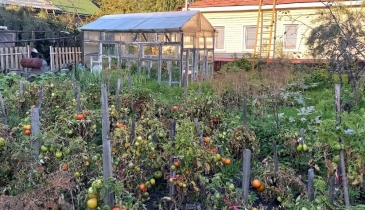 г. Омск,  ул. Кропоткина