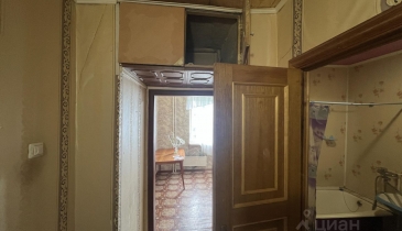 г. Омск,  ул. Жуковского, 31