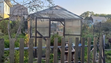 г. Омск,  ул. Кропоткина