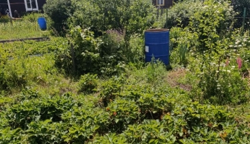 г. Омск,  дп. сдт Механизатор-2 (ОАО)