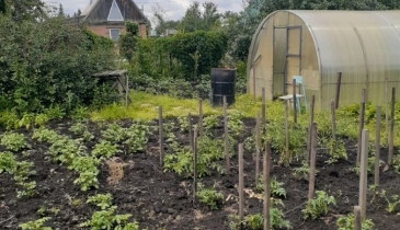 г. Омск,  дп. сдт Фиалка (ОАО)