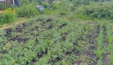 г. Омск,  дп. сдт Механизатор-2 (ОАО)