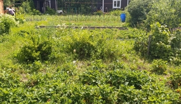 г. Омск,  дп. сдт Механизатор-2 (ОАО)