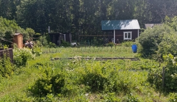 г. Омск,  дп. сдт Механизатор-2 (ОАО)