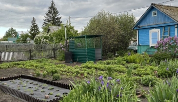 г. Омск,  дп. сдт Рассвет (САО)