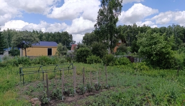 г. Омск,  дп. сдт Механизатор-2 (ОАО)